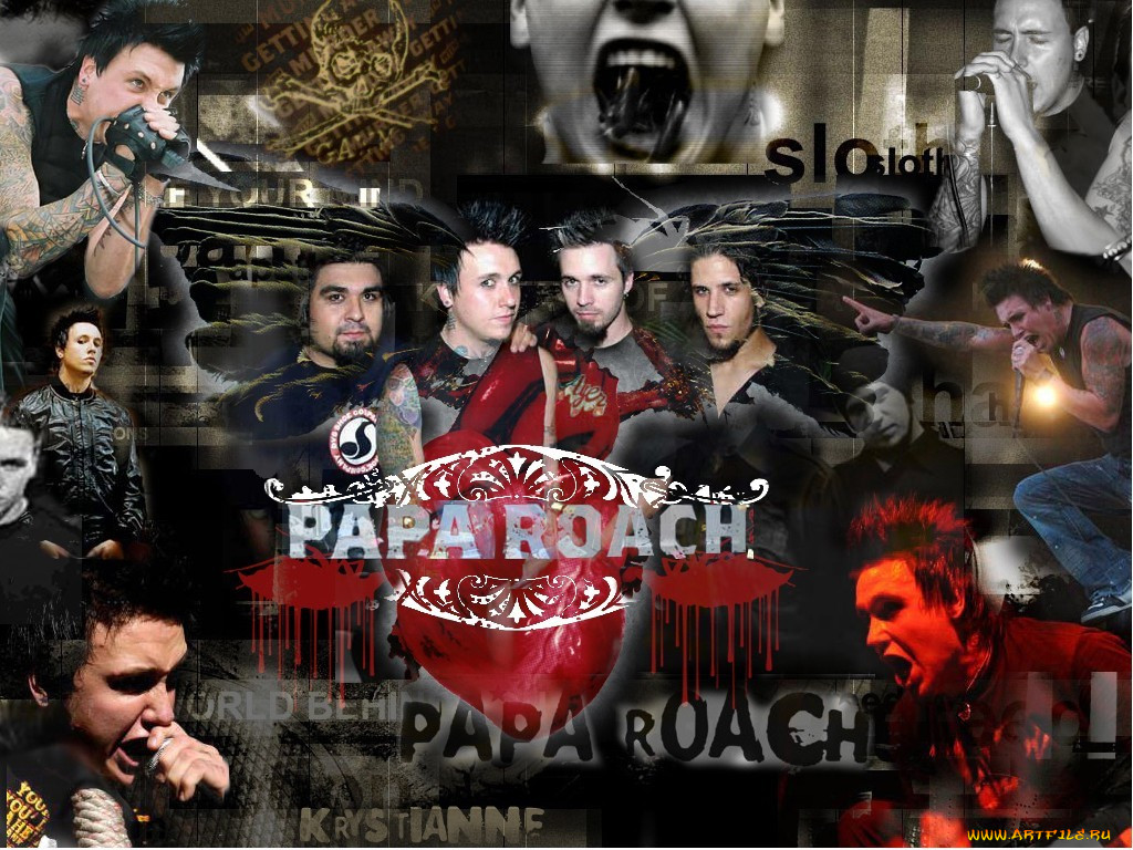 , papa, roach